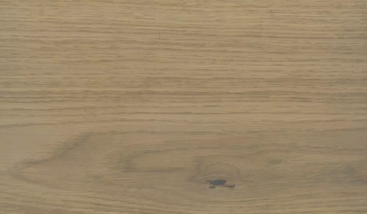 OLI-NATURA High Solid - Professional oil - various colours