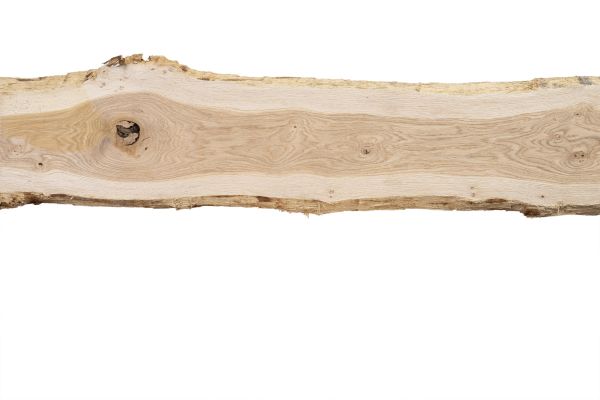 Massivholz Eiche 35 x 18-25 cm - mit Baumkante, unbesäumt und entrindet - unbehandelt